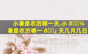 小暑是农历哪一天,小 🌼 暑是农历哪一 🌿 天几月几日